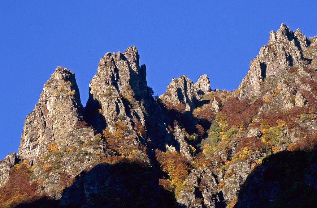 L'Etillier - Entraigues © Jean-Pierre Nicollet - Parc national des Ecrins L'Etillier - Entraigues © Jean-Pierre Nicollet - Parc national des Ecrins