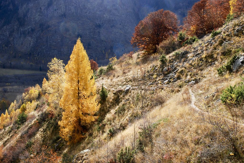 Randonnée pédestre à l'automne depuis Saint-Maurice vers la cabane de la Salette et la cabane de Rochimont.©Dominique Vincent - Parc national des Ecrins Randonnée pédestre à l'automne depuis Saint-Maurice vers la cabane de la Salette et la cabane de Rochimont.©Dominique Vincent - Parc national des Ecrins