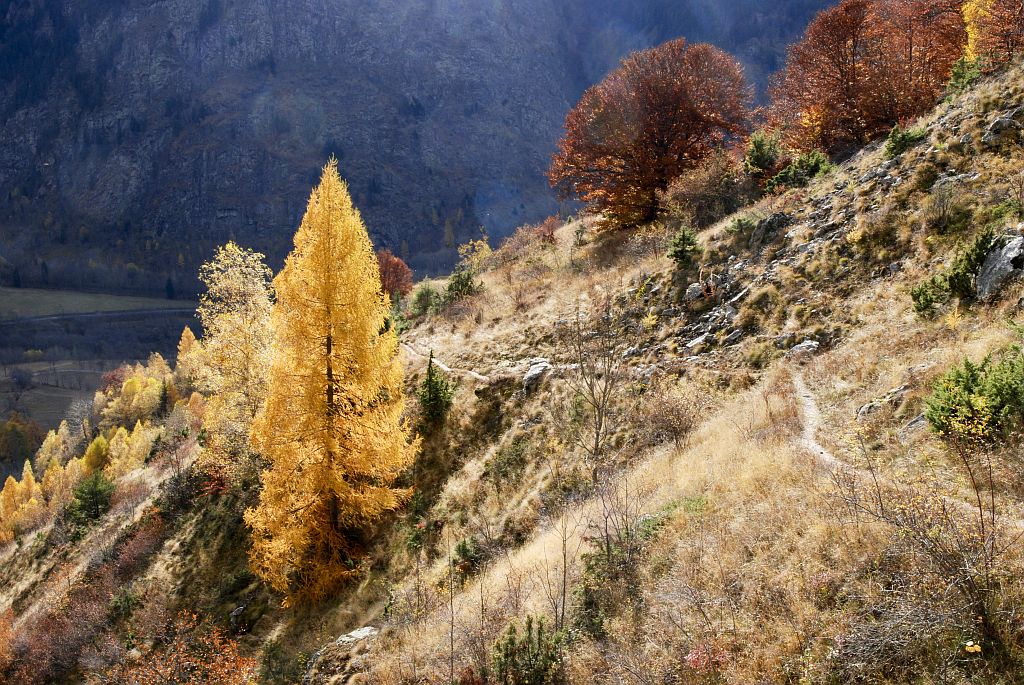 Randonnée pédestre à l'automne depuis Saint-Maurice vers la cabane de la Salette et la cabane de Rochimont.©Dominique Vincent - Parc national des Ecrins