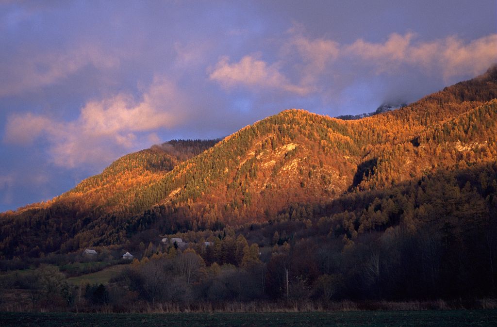 Coucher de soleil su la forêt de Saint-Léger-les-mélèzes ©Michel Francou - Parc national des Ecrins