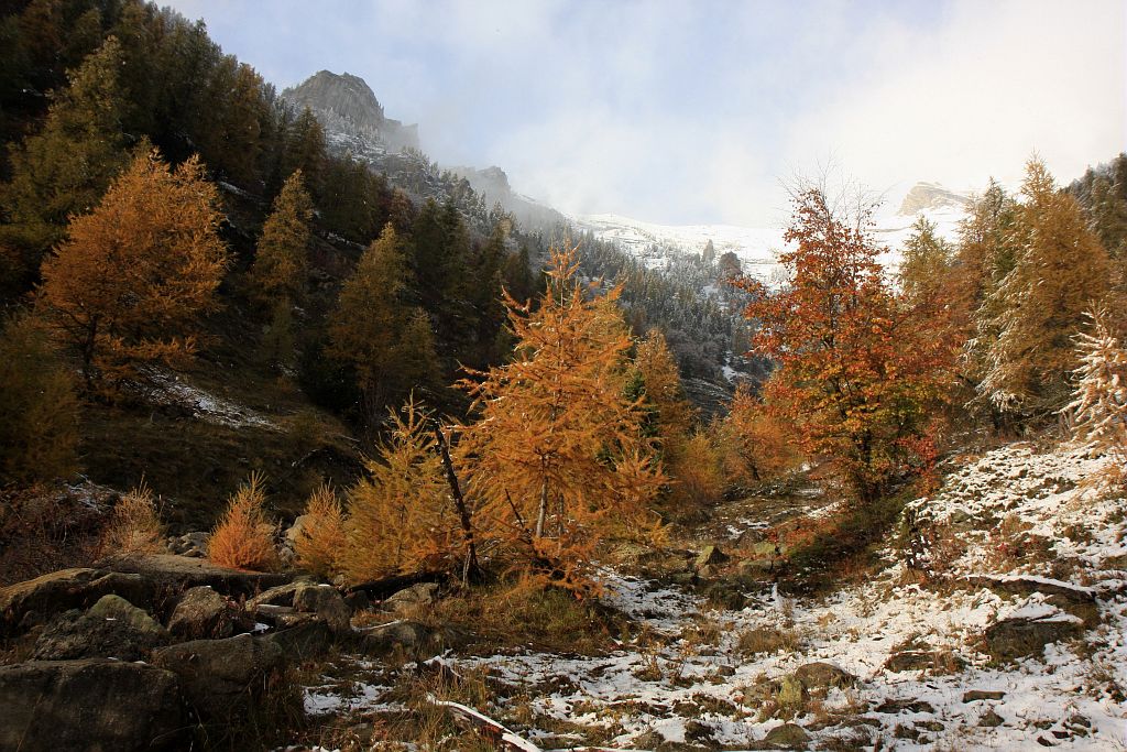 Le Riou Mort - Saint Michel de Chaillol ©Cortot Hervé - Parc national des Ecrins Le Riou Mort - Saint Michel de Chaillol ©Cortot Hervé - Parc national des Ecrins