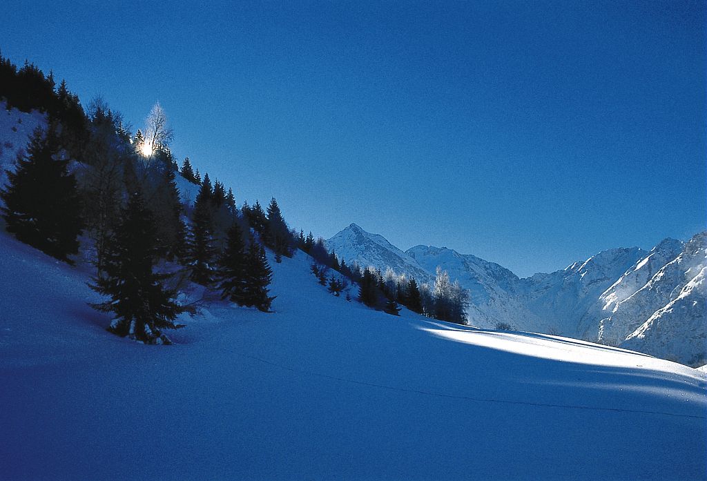 Au Sapey en Oisans ©Roche Daniel - Parc national des Ecrins Au Sapey en Oisans ©Roche Daniel - Parc national des Ecrins