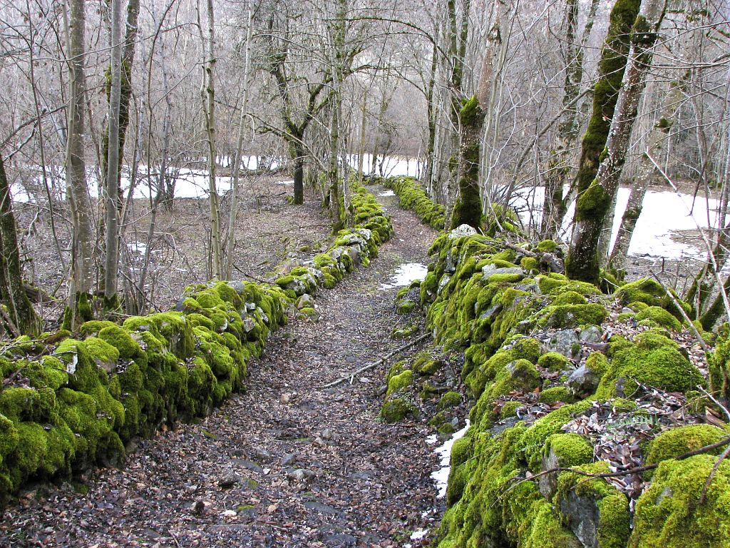 Sentier de la Danchère aux Escallons, bordé de pierres et murets ©Albert Christophe - Parc national des Ecrins Sentier de la Danchère aux Escallons, bordé de pierres et murets ©Albert Christophe - Parc national des Ecrins