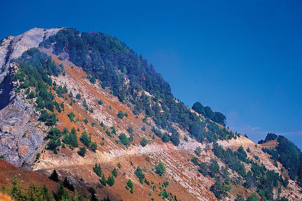 Villard Reymond - Prégentil ©Pascal Saulay - Parc national des Ecrins