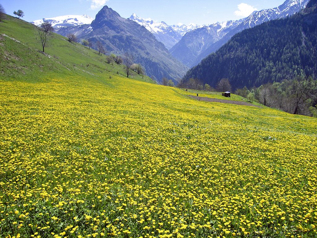 Au-dessus de Villard Notre-Dame, vers la croix du Carrelet (Pied Moutet, la vallée du Vénéon) ©Denis Fiat - Parc national des Ecrins