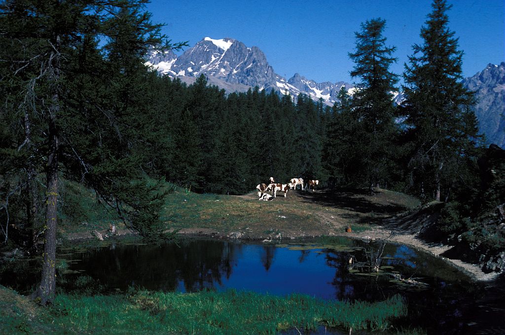 Le lac des Charbonnières © Christian Baïsset - Parc national des Ecrins 