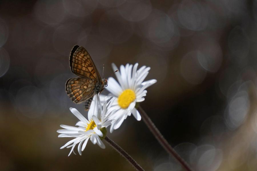 140243_HD 140243_HD