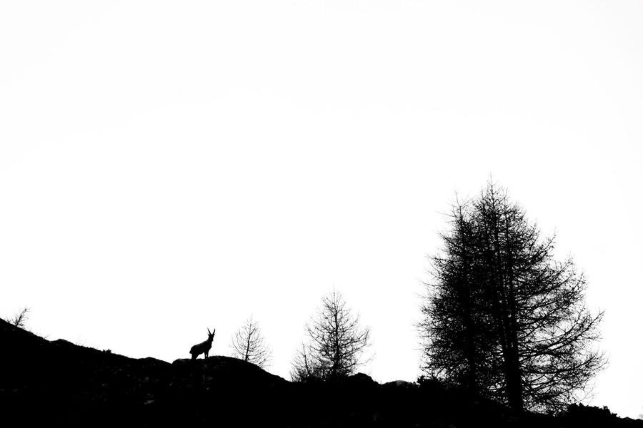 133270e_HD 133270e_HD