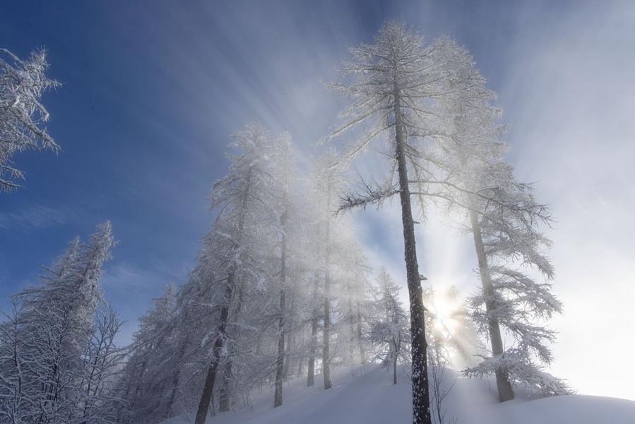 hiver TM