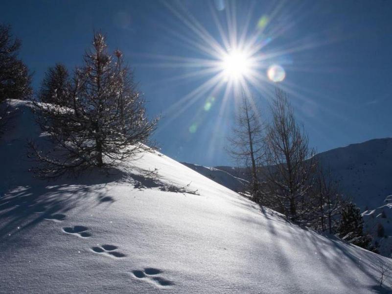 traces dans la neige