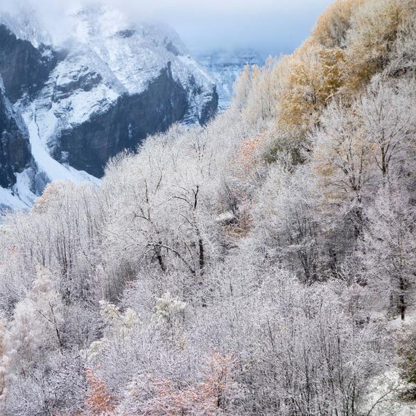 2014-11-18_neige Fressinières 15_MAT