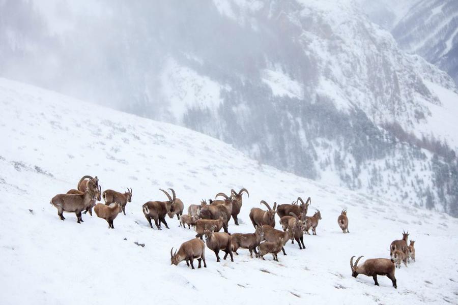 101060e_HD 101060e_HD