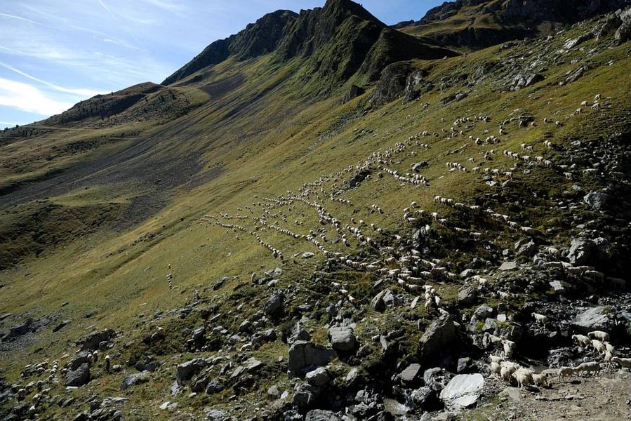 Alpage du Vallon- Réallon