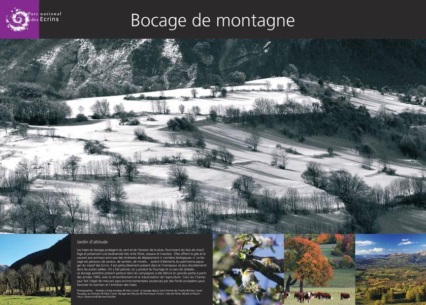 bocage_page-0001 bocage_page-0001