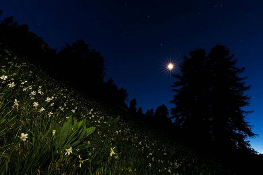 nuit nuit