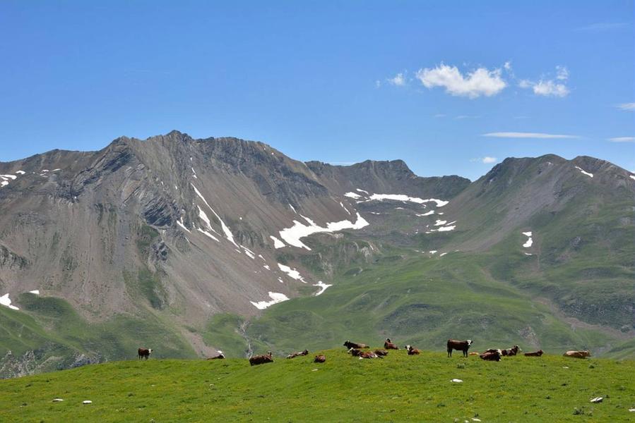 Amontagnage3 Amontagnage3