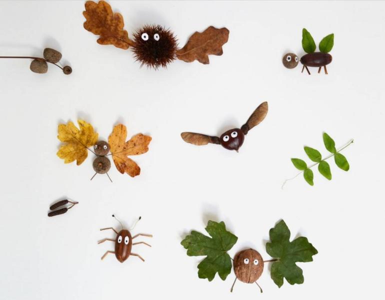 pop up insectes pop up insectes