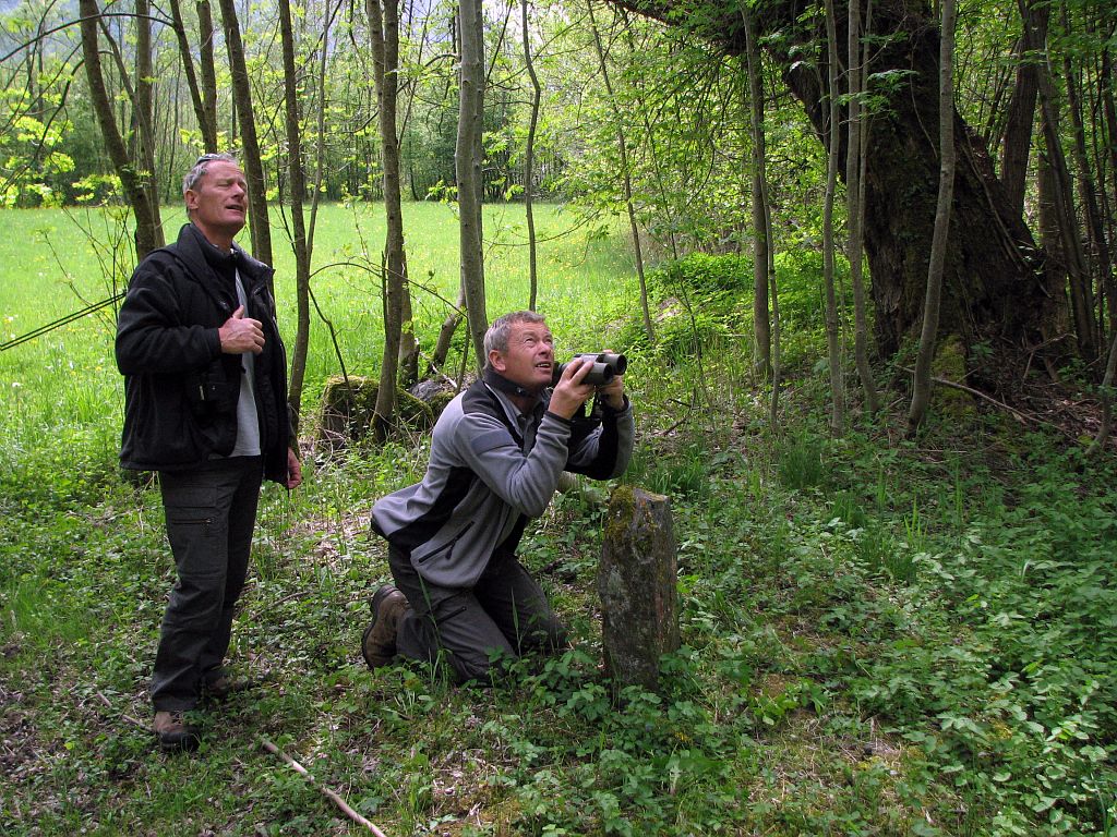 Migrations, observations, photo C.Albert - PNE Migrations, observations, photo C.Albert - PNE