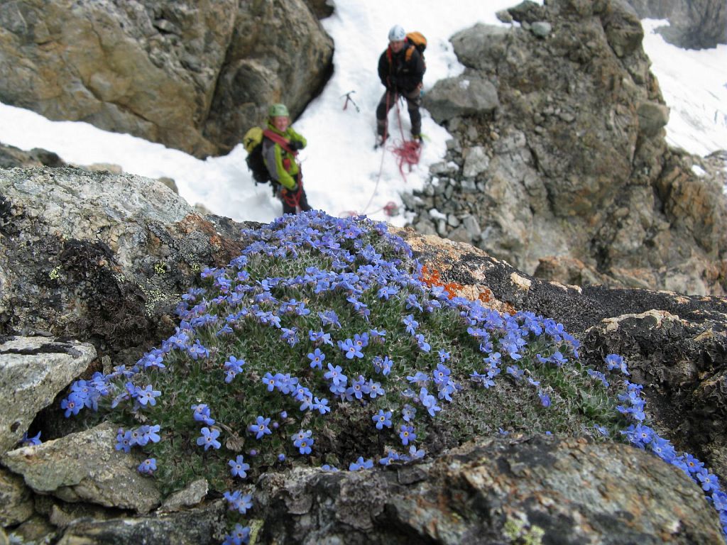 Ecologie à la verticale - Sébastien Ibanez (LECA-PNE)