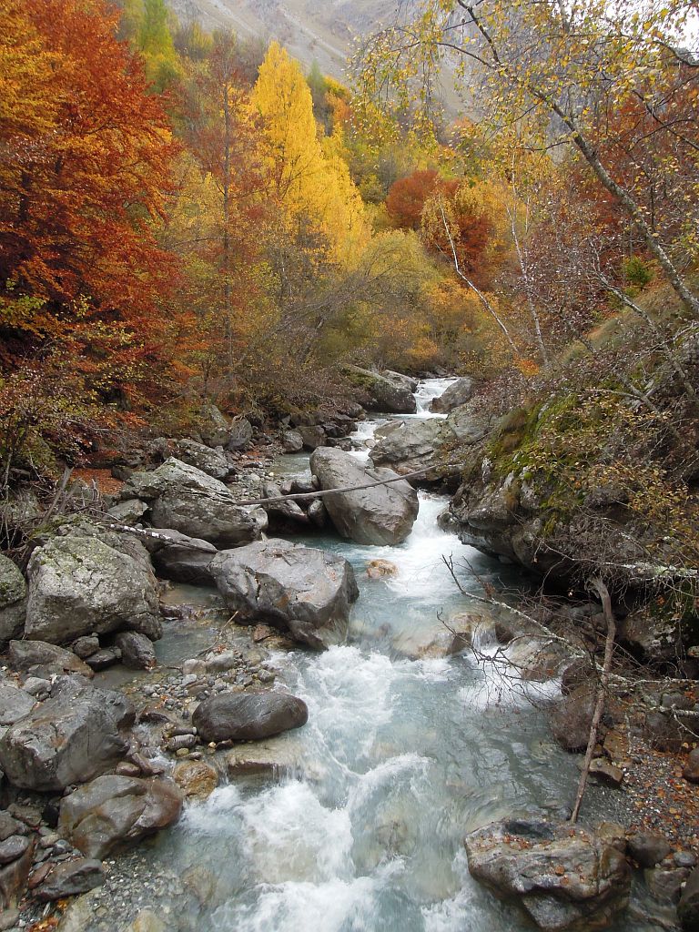 La Séveraisse - rif du Sap - © Ludovic Imberdis - parc national des Ecrins La Séveraisse - rif du Sap - © Ludovic Imberdis - parc national des Ecrins