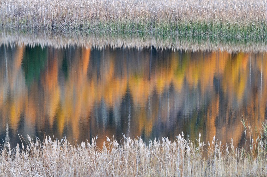 Reflets sur le lac de Siguret © M.Coulon - Parc national des Écrins