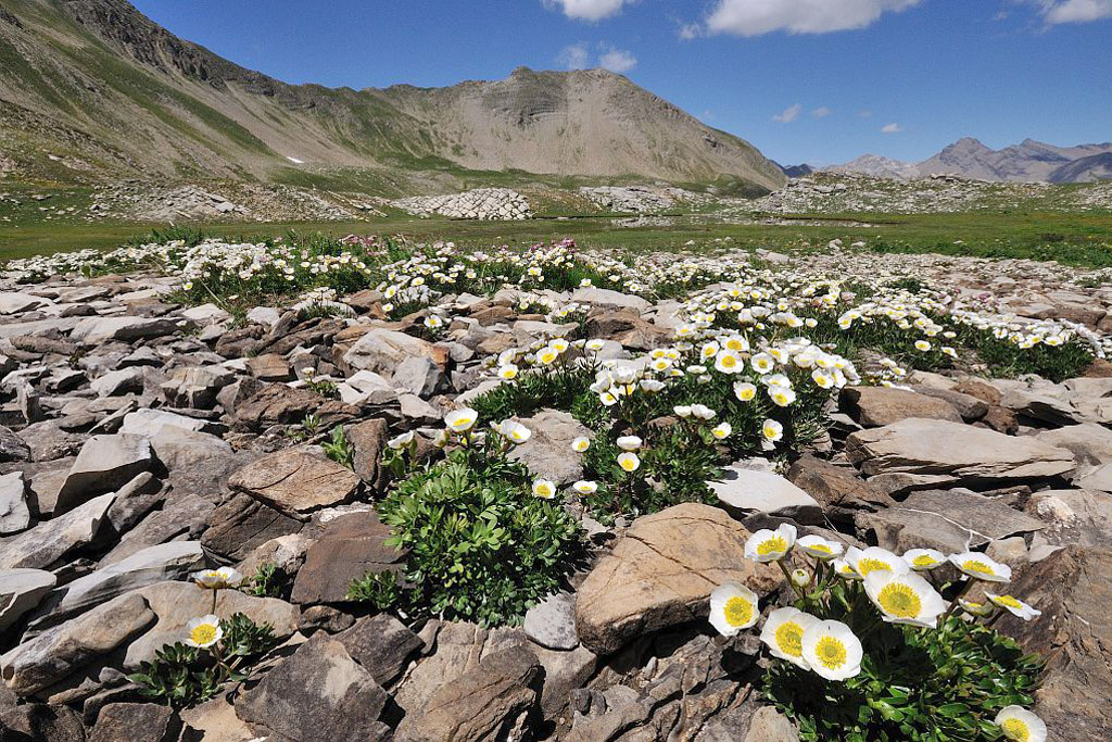 Lac dans le vallon de la Ribière © PNE / Coulon Mireille