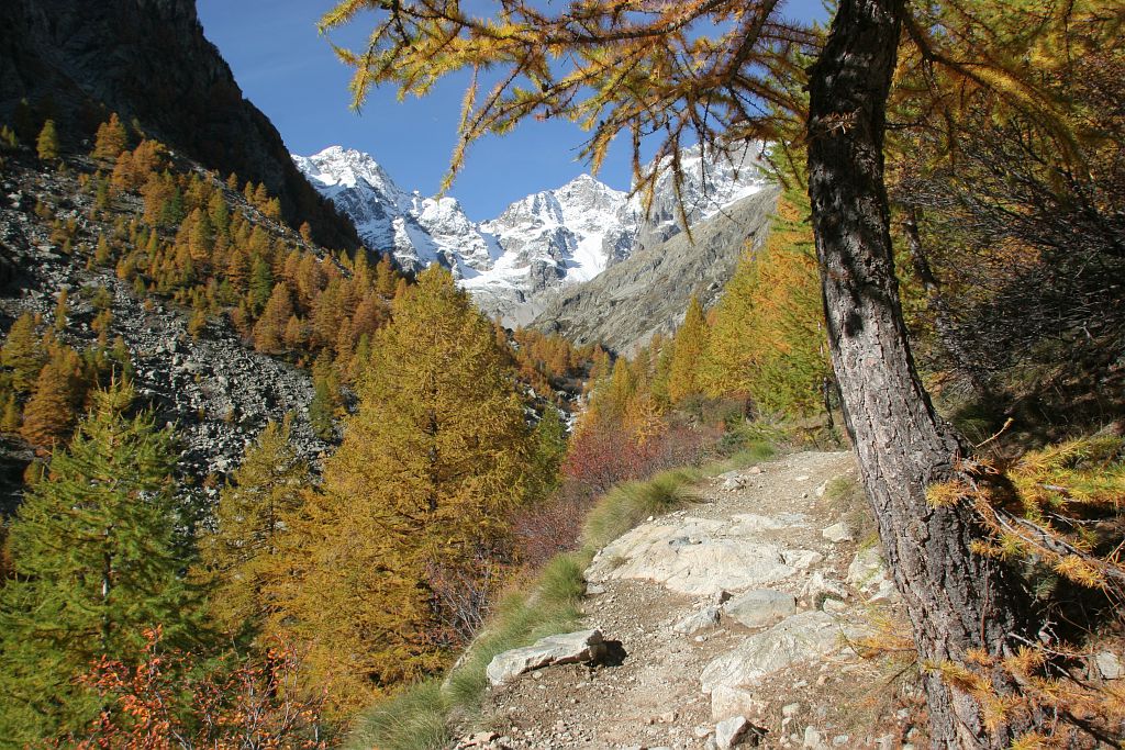 Vallon des Bans © PNE / Chevalier Robert