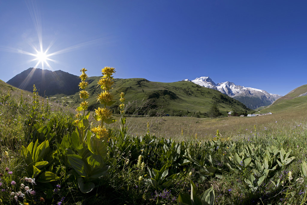 Le massif de la Meije du vallon de Valfroide © PNE / Pascal Saulay