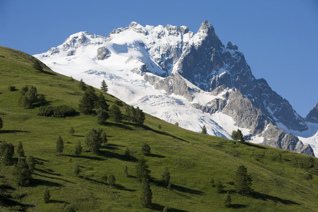 La Meije du vallon de Valfroide © PNE / Pascal Saulay