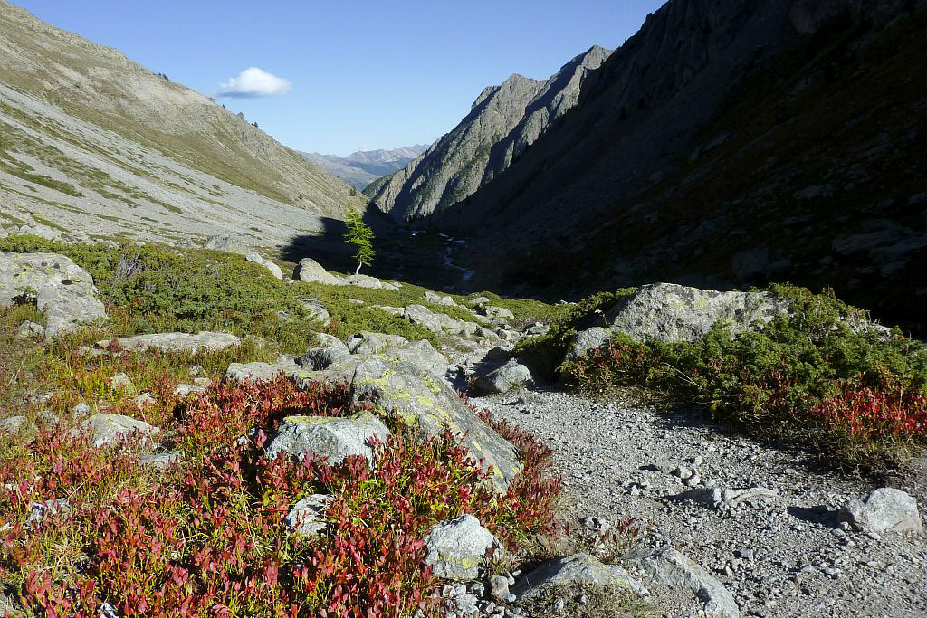 Sur le GR54 en descendant du col d'Arsine © PNE / Cyril Coursier