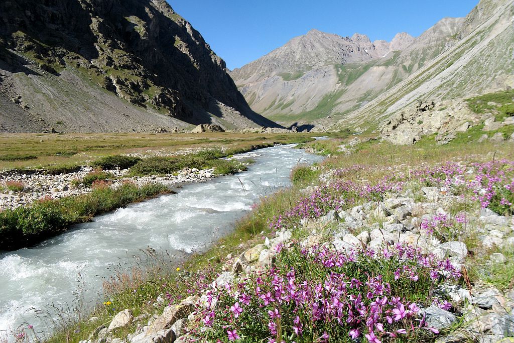 Valfourche - torrent de la Romanche © PNE / Mireille Coulon