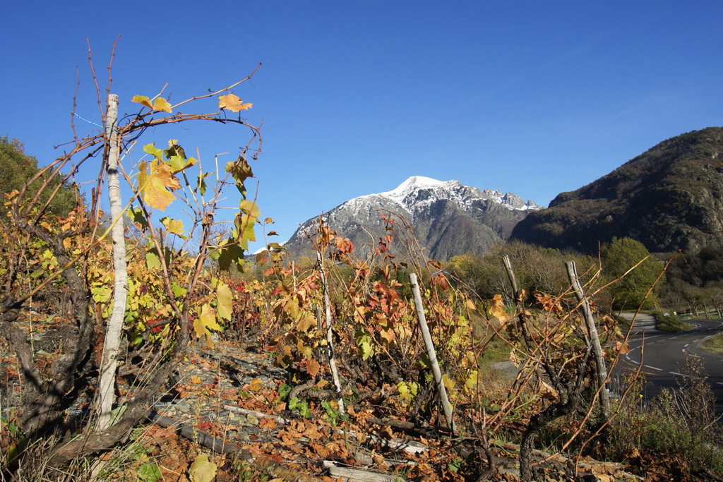 Vignoble au Vet : l'automne en premier plan © PNE / Ludovic Imberdis