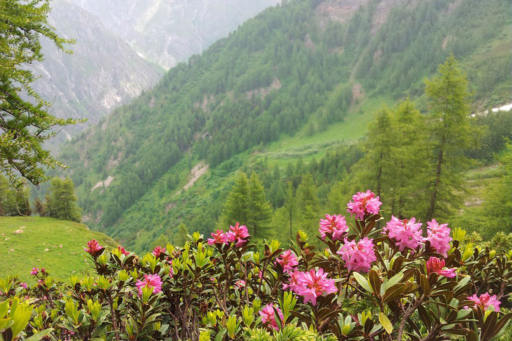 Ambiance dans le vallon de Combe Oursière © PNE / Marion Digier