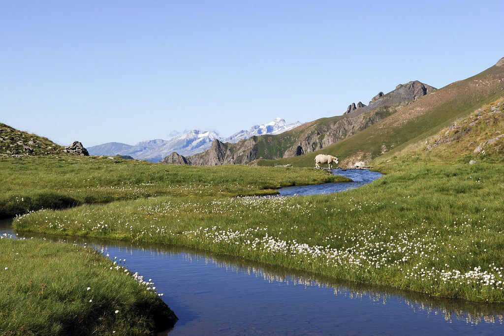 Le lac Labarre © PNE / Bernard Nicollet