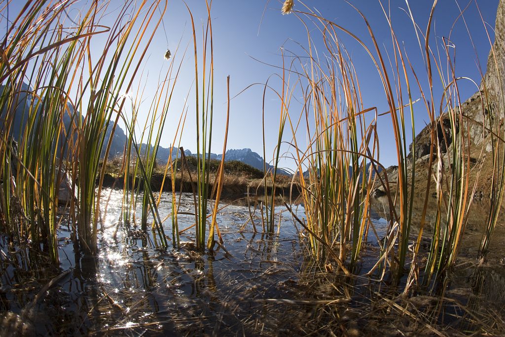 lac Bleu © PNE / Saulay Pascal