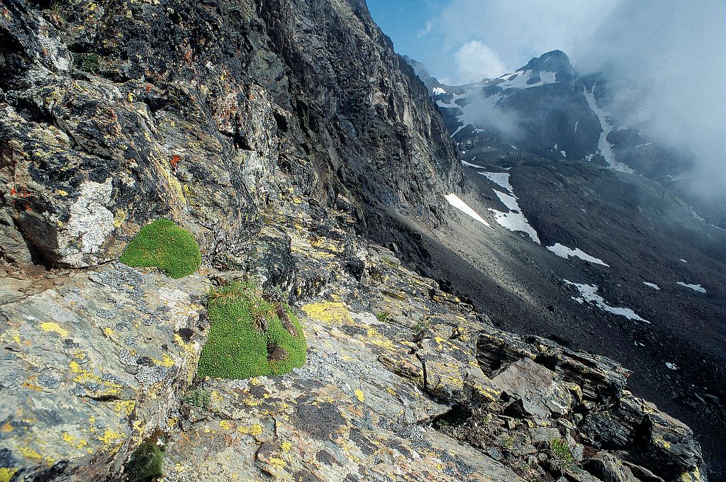 Les arêtes rocheuses de haute altitude © Jean-Pierre Nicollet - Parc national des Ecrins