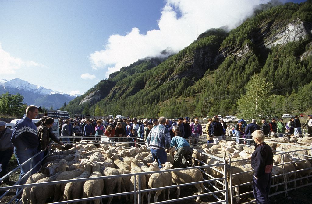 Foire à Champoléon © Claude Dautrey - Parc national des Ecrins