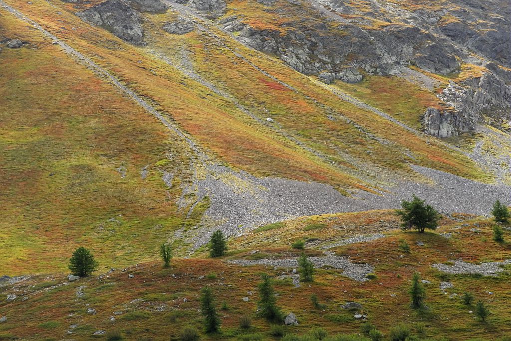 Pelouse à l'automne - col du Lautaret © Mireille Coulon - Parc national des Ecrins Pelouse à l'automne - col du Lautaret © Mireille Coulon - Parc national des Ecrins