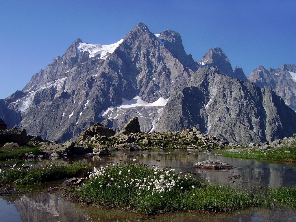 Le Pelvoux à partir du refuge Tuckett - En premier plan, un bas marais à linaigrette de Scheuchzer © Bernard Nicollet - Parc national des Ecrins  