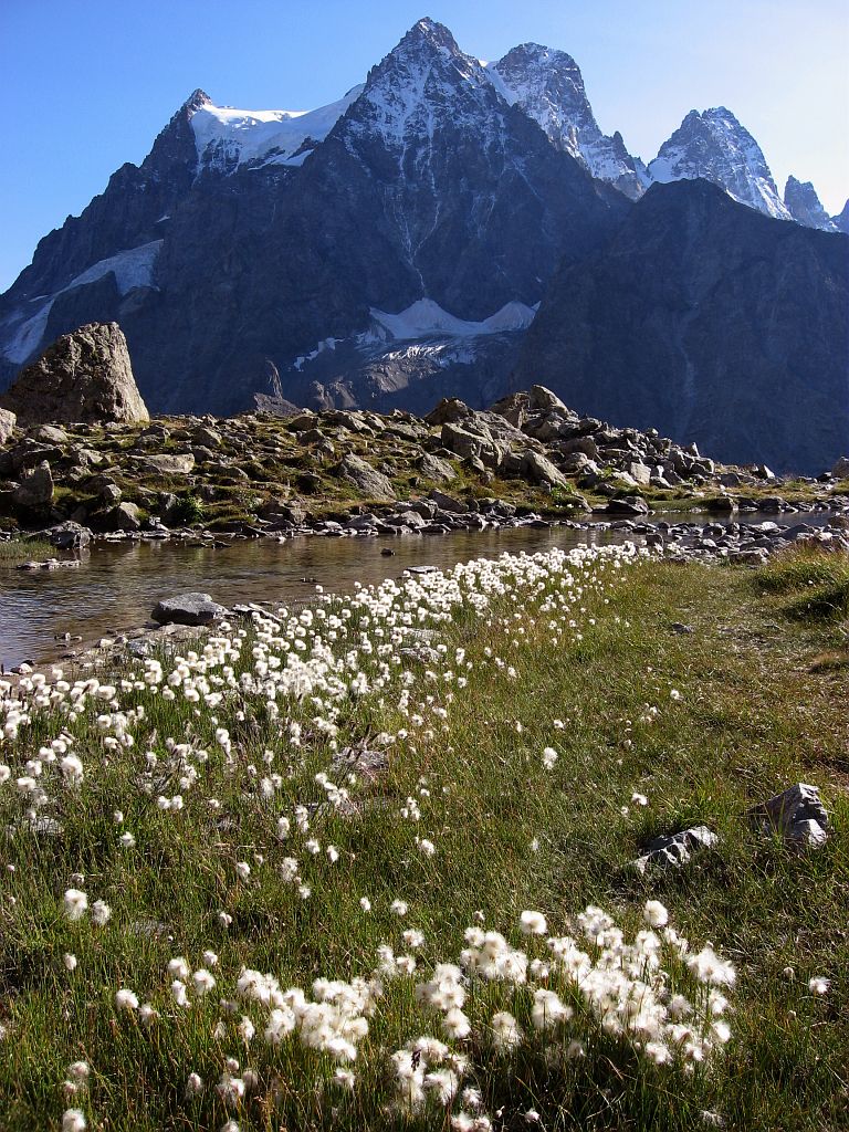 Le lac Tuckett et le Pelvoux © Mireille Coulon - Parc national des Ecrins  