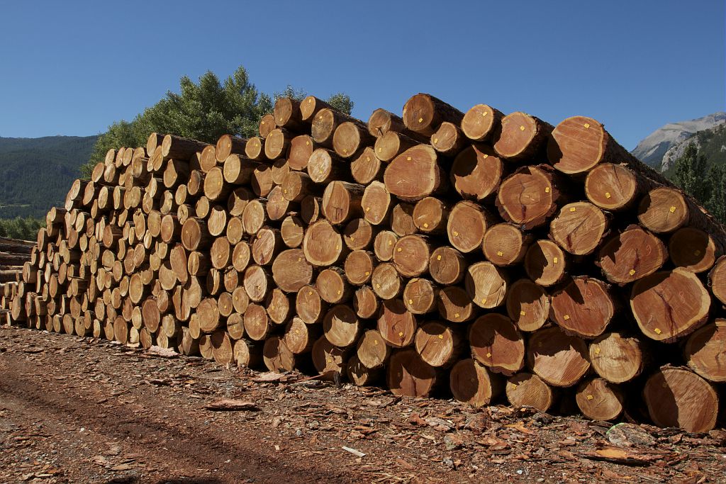 ICONO, La forêt -  travaux forestiers - filières bois © Jean-Philippe Telmon - Parc national des Ecrins