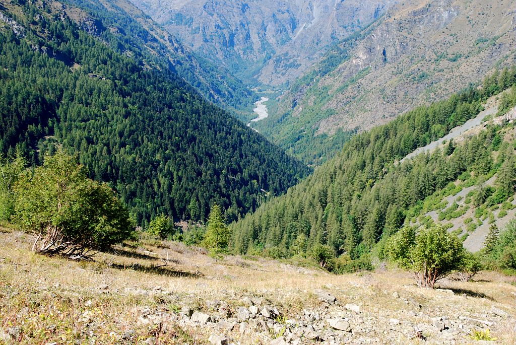 Le vallon du Roy - épicéas, hêtres et mélèzes © Dominique Vincent - Parc national des Ecrins
