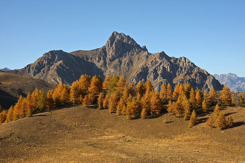 Paysage d'automne : mélézin vu de l'alpe de Réotier © Damien Combrisson - Parc national des Ecrins Paysage d'automne : mélézin vu de l'alpe de Réotier © Damien Combrisson - Parc national des Ecrins