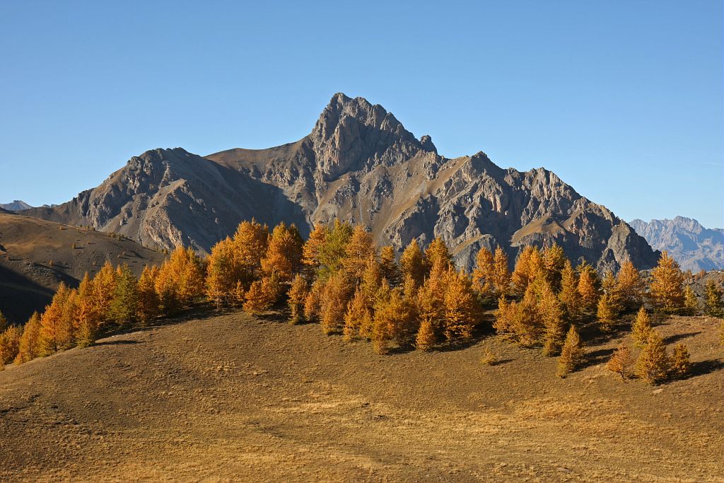 Paysage d'automne : mélézin vu de l'alpe de Réotier © Damien Combrisson - Parc national des Ecrins  