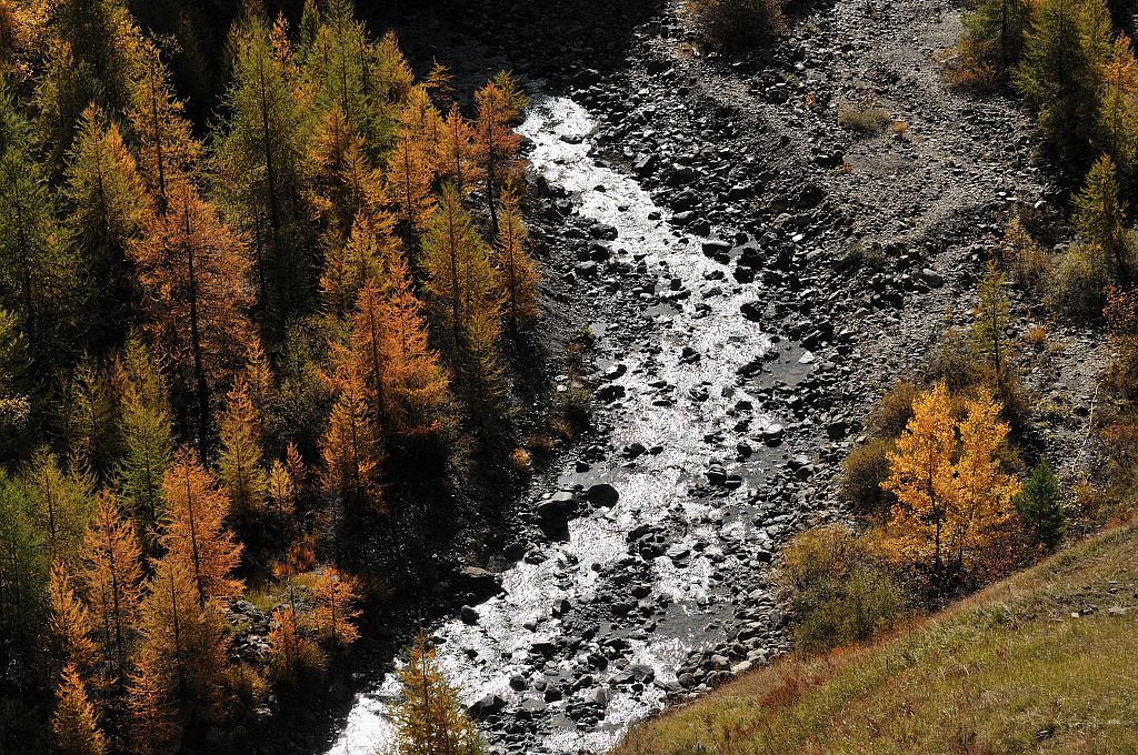 Torrent de Chargès et mélèzes à l'automne - Réallon © Mireille Coulon - Parc national des Ecrins