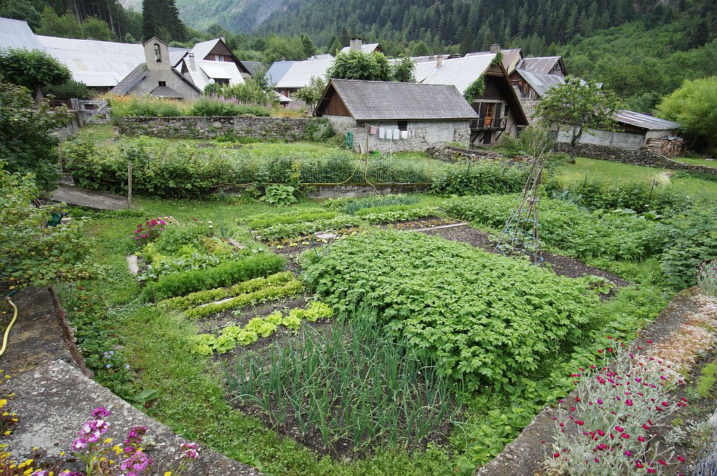 Un jardin à Valsenestre © Ludovic Imberdis, Parc national des Ecrins. Un jardin à Valsenestre © Ludovic Imberdis, Parc national des Ecrins.