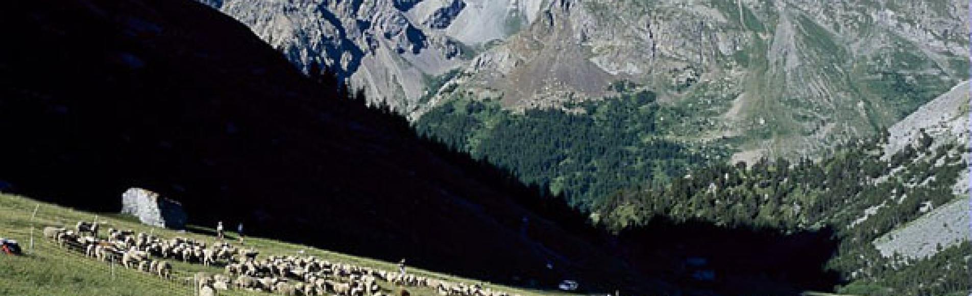 L'alpage de la Ponsonnière à L'Alpe du Lauzet (commune du Monêtier-les-Bains)