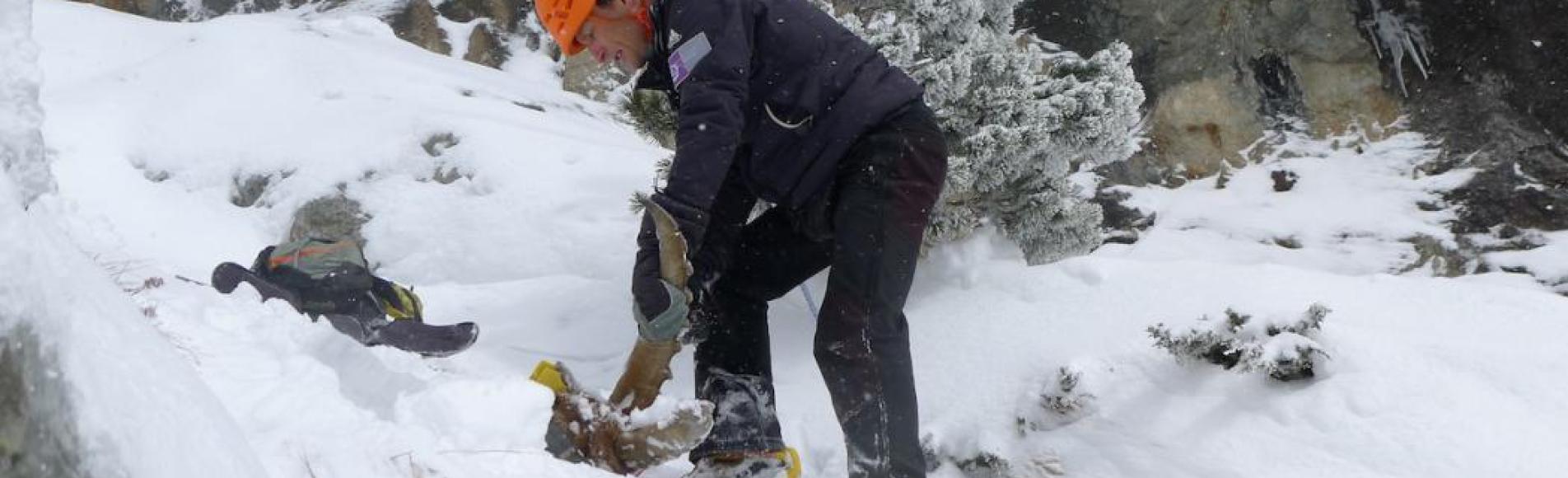 Le bouquetin mort a été retrouvé dans un vallon quasi-inacessible du Valbonnais - © R.Papet/PNE Le bouquetin mort a été retrouvé dans un vallon quasi-inacessible - © R.Papet/PNE