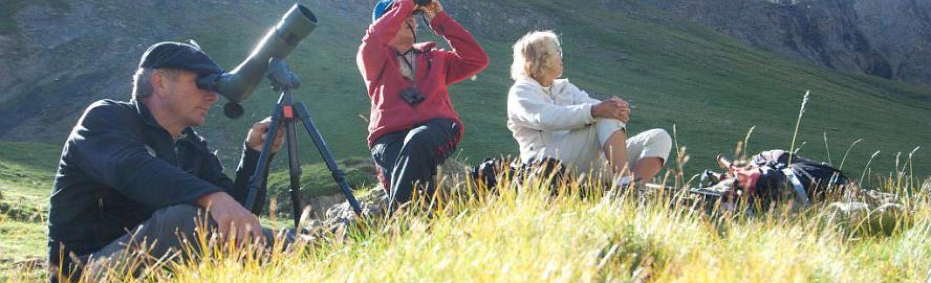 Rendez-vous avec un garde-moniteur - © PIerre Masclaux