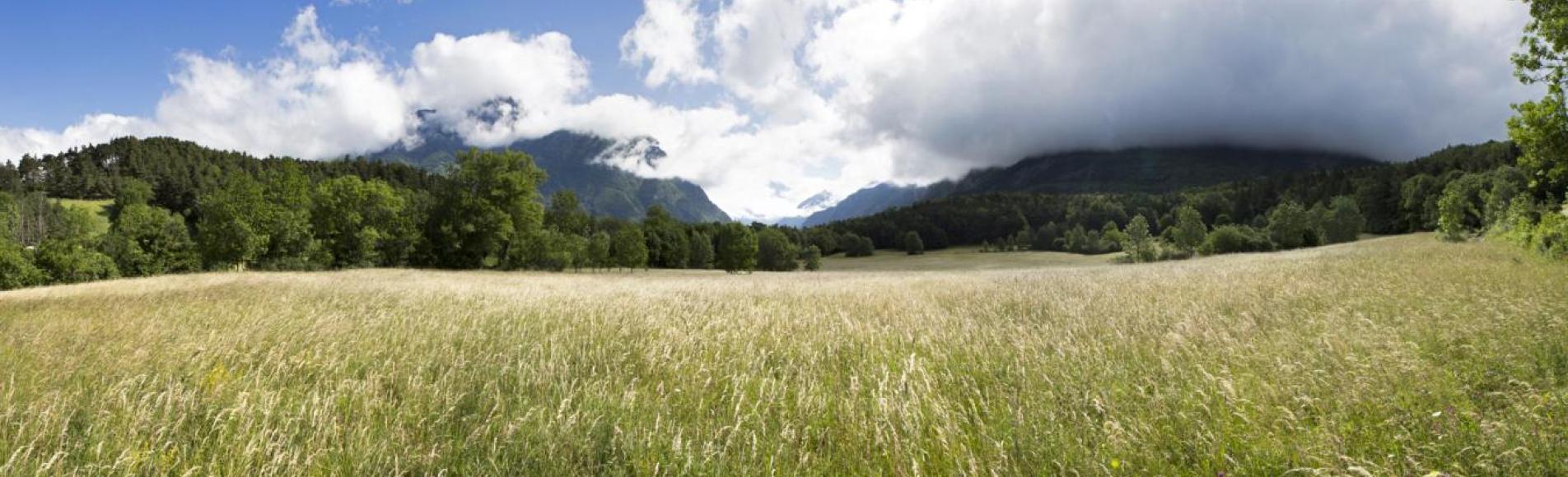 La parcelle lauréate représentera les Ecrins au concours national © P.Saulay - Parc national des Ecrins